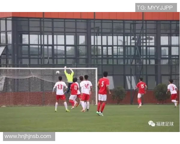 深圳羽毛球队实力解析：从训练到比赛的全面剖析与展望